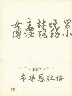 女主林晚男主叫傅泽砚的小说