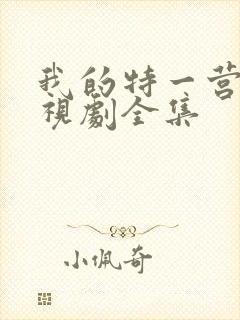 我的特一营 电视剧全集