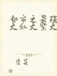 都市之最强狂兵大红大紫大结局