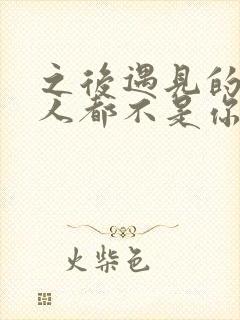 之后遇见的所有人都不是你