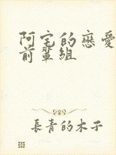 阿宅的恋爱真难前辈组