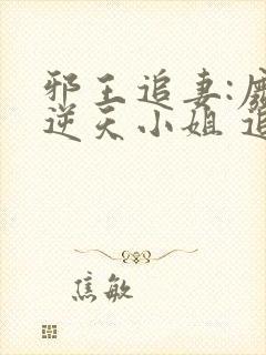 邪王追妻:废材逆天小姐 追书