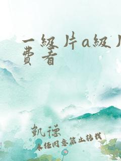 一级片a级片免费看