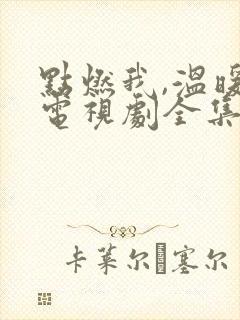 点燃我,温暖你电视剧全集免费