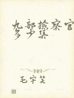 九部检察官一共多少集