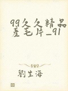 99久久精品国产毛片_91