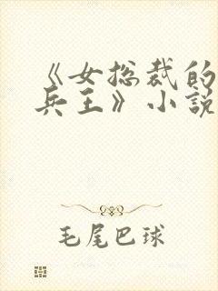 《女总裁的全能兵王》小说