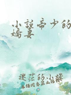 小说帝少的独宠娇妻