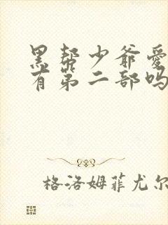 黑帮少爷爱上我有第二部吗