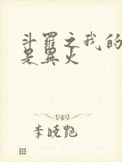 斗罗之我的武魂是异火