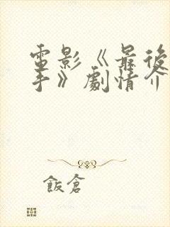 电影《最后的凶手》剧情介绍分集