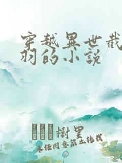 穿越异世截胡王羽的小说