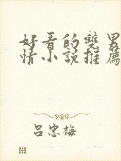 好看的双男主言情小说推荐