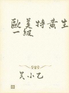 欧美特黄生活片一级