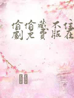 偷偷藏不住电视剧免费版在线观看全集免费