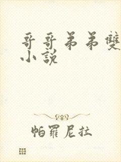 哥哥弟弟双男主小说