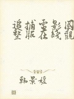 追捕电影国语完整版在线观看免费