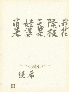 萌娃天降,我的老婆是校花短剧资源