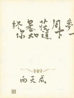 终是庄周梦了蝶 你知道下一句么