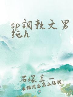 sp调教文男男纯h