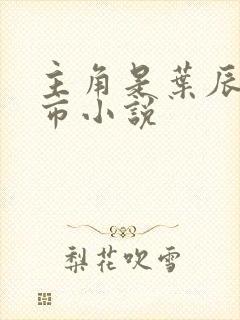 主角是叶辰的都市小说