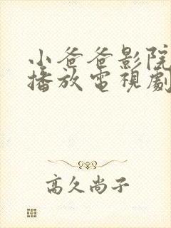 小爸爸影院免费播放电视剧