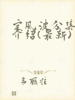 定风波分集剧情介绍(最新)