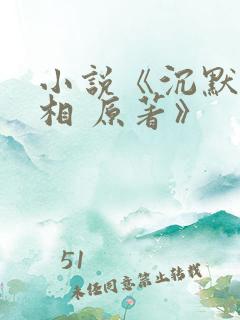 小说《沉默的真相 原著》