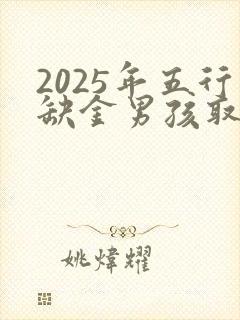 2025年五行缺金男孩取名字