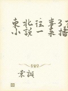东北往事3有声小说一来播讲