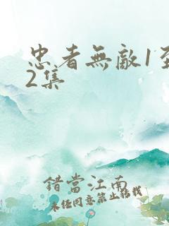 忠者无敌1至42集