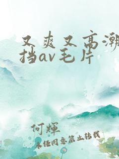 又爽又高潮无遮挡av毛片