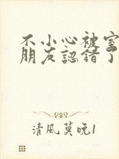 不小心被室友男朋友认错了宁笑阿温作者