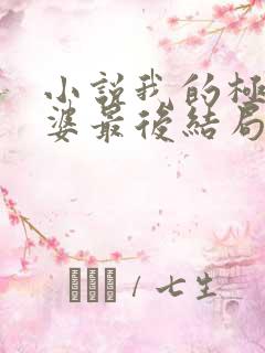 小说我的极品老婆最后结局如何