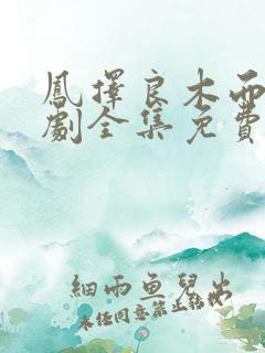 凤择良木而栖短剧全集免费播放