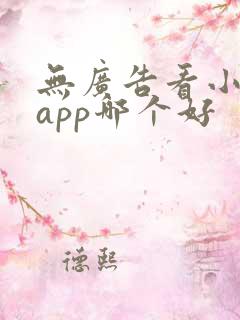 无广告看小说的app哪个好