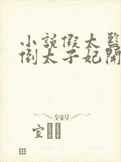 小说假太监从推倒太子妃开始电子书