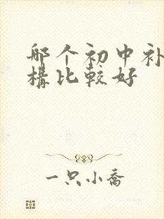 哪个初中补课机构比较好