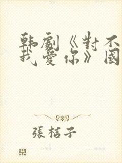 韩剧《对不起,我爱你》国语