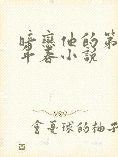 暗恋他的第十一年春小说