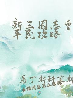 新三国志曹操传平民攻略