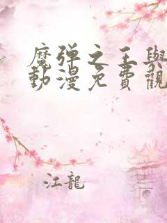 魔弹之王与战姬动漫免费观看完整版