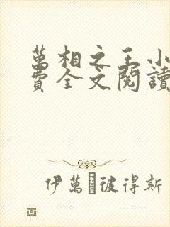 万相之王小说免费全文阅读