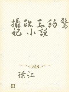 摄政王的惊世嫡妃 小说