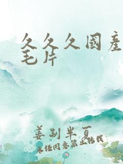 久久久国产精品毛片