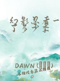 幻影忍者一共出了多少季