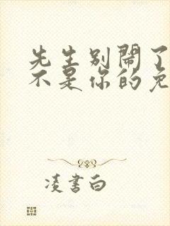 先生别闹了新娘不是你的免费观看