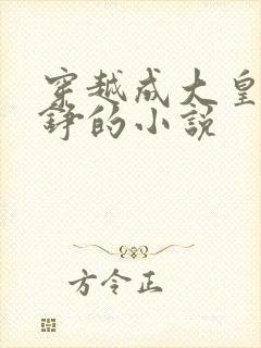 穿越成大皇子赵铮的小说