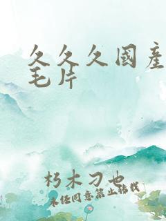 久久久国产精品毛片