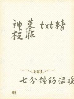 神墓 txt精校版